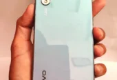 Vivo S1